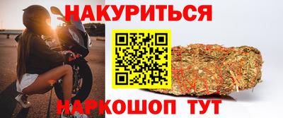скорость Кингисепп