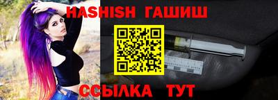 скорость Кингисепп