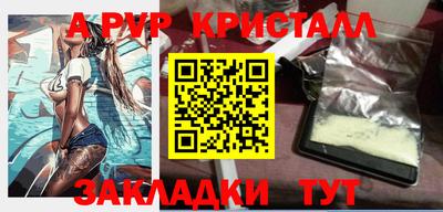 скорость Кингисепп